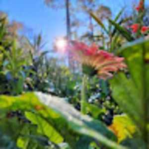 Meet your Posher, Douglas